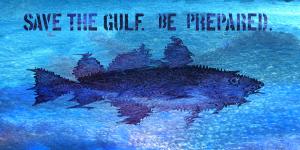 Save The Gulf America